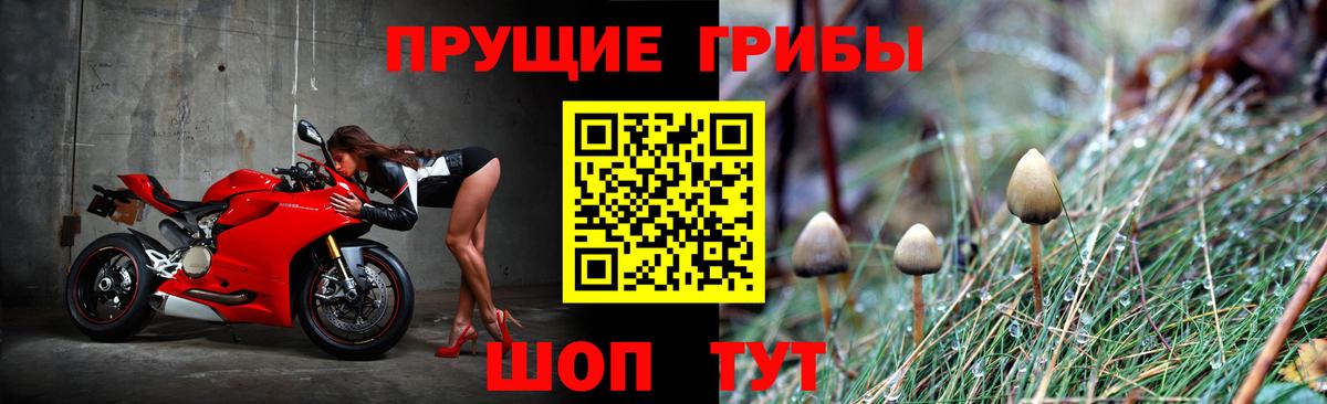 Псилоцибиновые грибы мицелий Шарыпово
